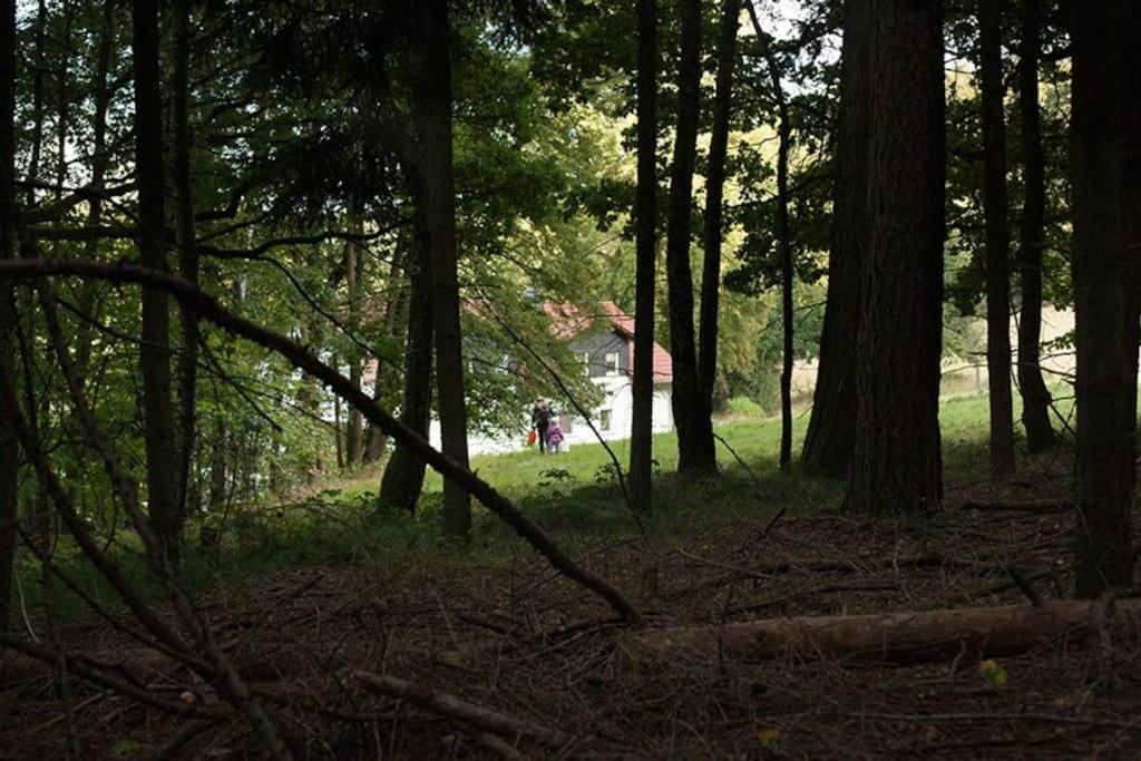 Wald-Apartment Limabach - Oberfrohna المظهر الخارجي الصورة