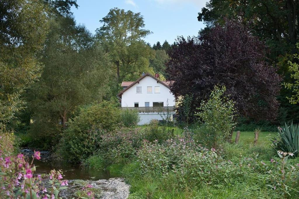 Wald-Apartment Limabach - Oberfrohna المظهر الخارجي الصورة