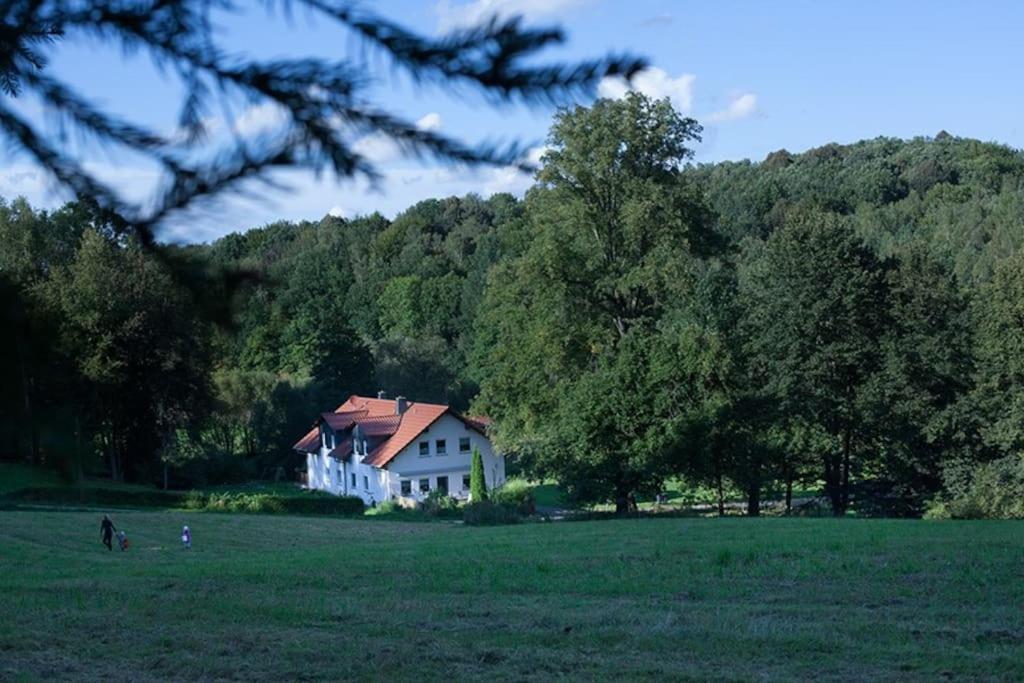 Wald-Apartment Limabach - Oberfrohna المظهر الخارجي الصورة