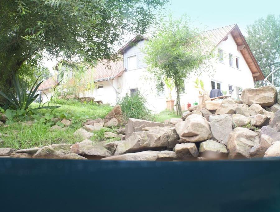 Wald-Apartment Limabach - Oberfrohna المظهر الخارجي الصورة