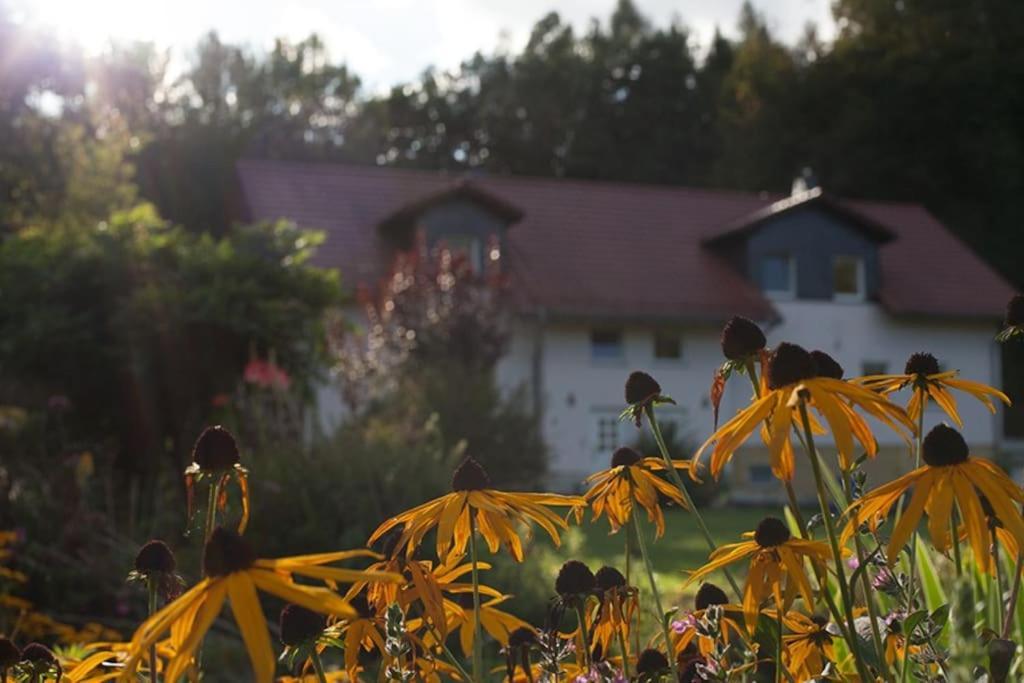 Wald-Apartment Limabach - Oberfrohna المظهر الخارجي الصورة