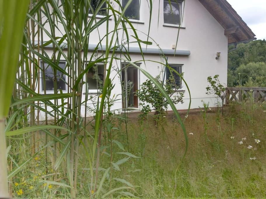 Wald-Apartment Limabach - Oberfrohna المظهر الخارجي الصورة