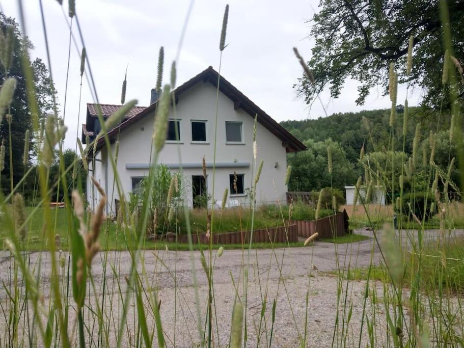 Wald-Apartment Limabach - Oberfrohna المظهر الخارجي الصورة