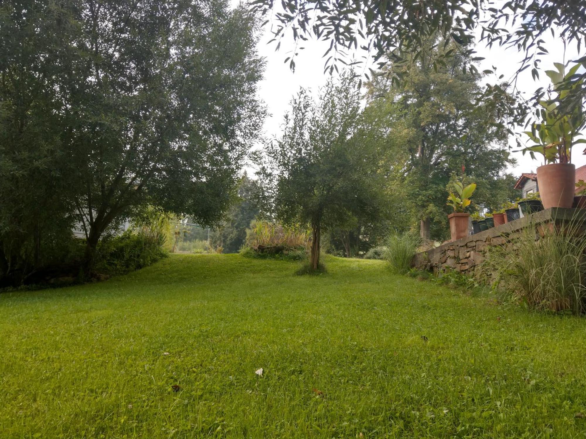 Wald-Apartment Limabach - Oberfrohna المظهر الخارجي الصورة